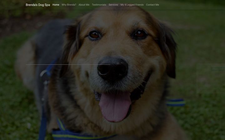 Screenshot of brendasdogspa.ca