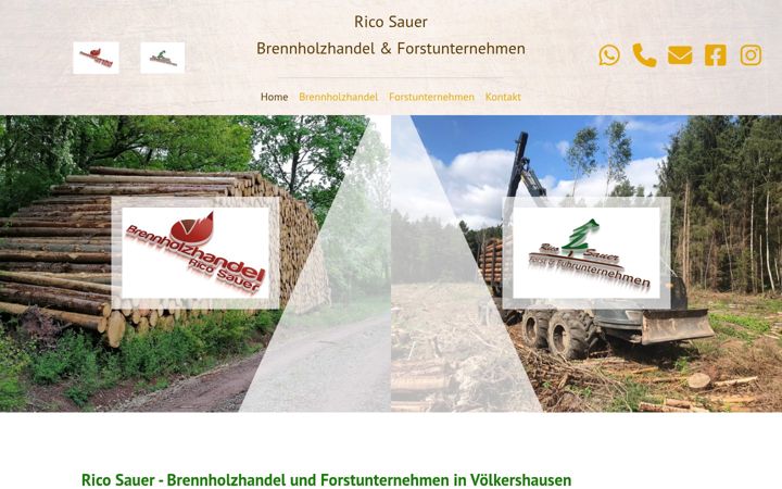 Screenshot of brennholzhandel-sauer.de