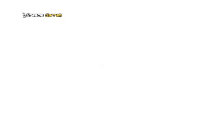 Screenshot of bresciacarrelli.com