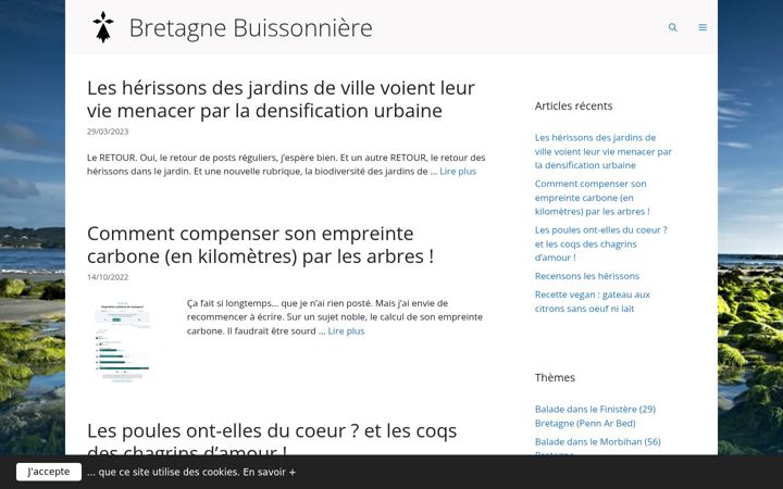 Screenshot of bretagne-tours.com