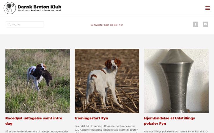 Screenshot of breton.dk