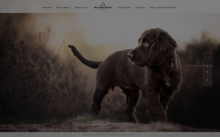 Screenshot of brett-verhestraeten.be