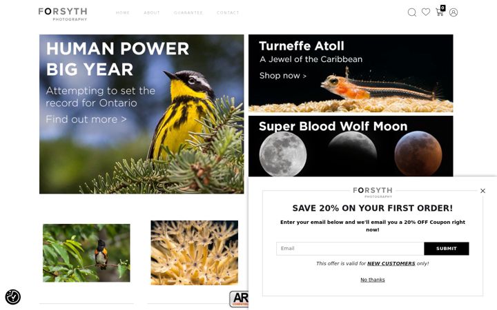 Screenshot of brettforsyth.com