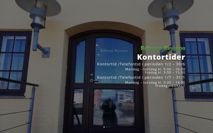 Screenshot of brevision.dk