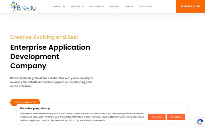 Screenshot of brevitytechnology.ca