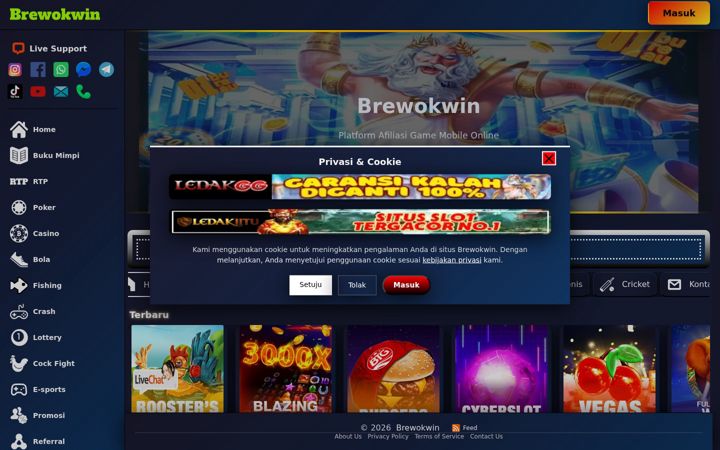 Captura de pantalla de brewokwin.org