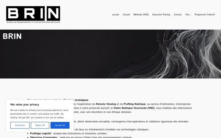 Screenshot of bri-n.org