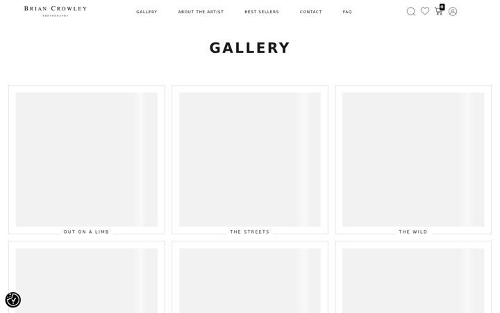 Screenshot of briancrowley.com