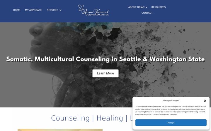 Screenshot of briankimmelguidancecenter.com