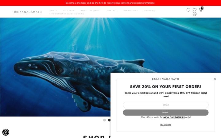 Screenshot of briannadamato.com