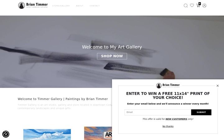 Screenshot of briantimmerart.com