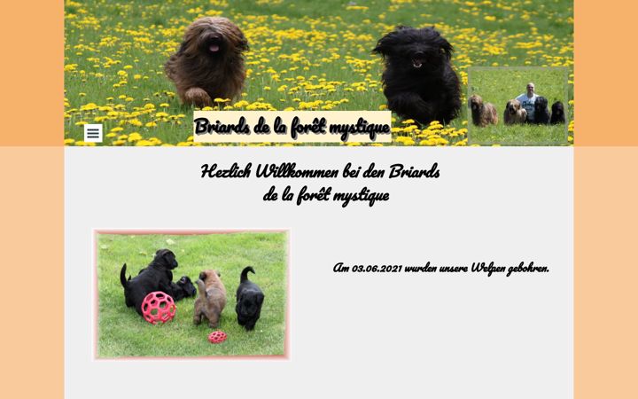 Capture d'écran de briardpuppys.de