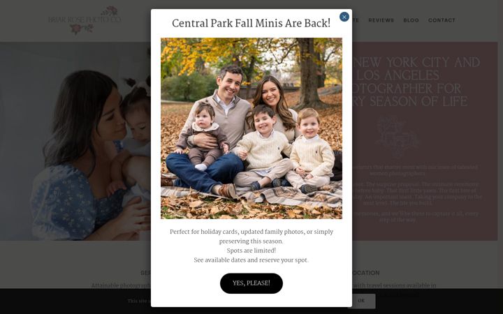 Screenshot of briarrosephotoco.com