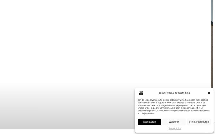 Screenshot of brichaux-rimez.be