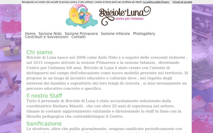 Screenshot of briciolediluna.it