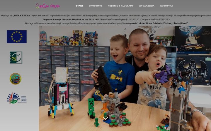 Screenshot of brickfreak.pl