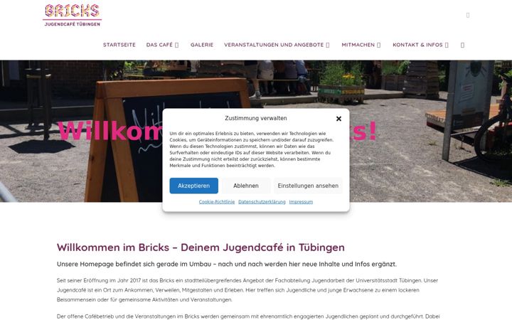 Screenshot of bricks-tuebingen.de