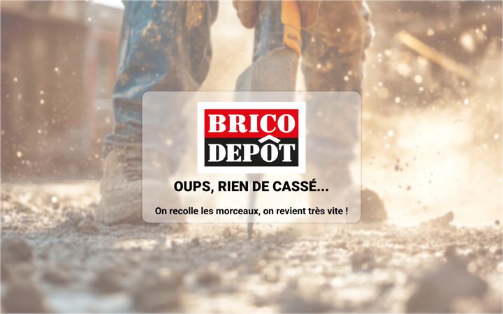 Capture d'écran de bricodepot.fr