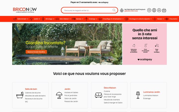 Screenshot of briconow.be