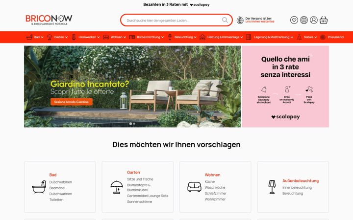 Ekraanipilt saidist briconow.de