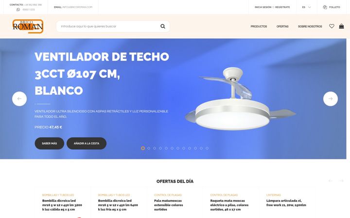 Screenshot of bricoroman.com