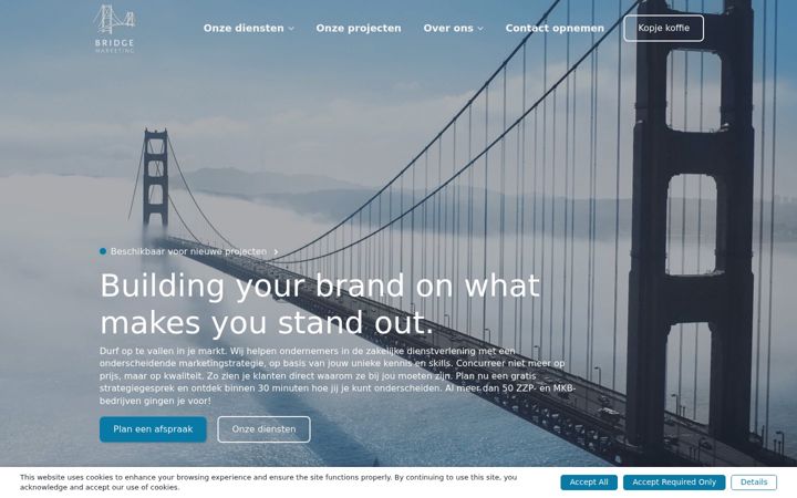 Екранна снимка на bridge-marketing.nl