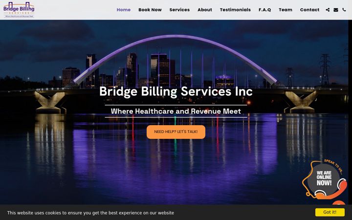 Screenshot of bridgebillingservices.net