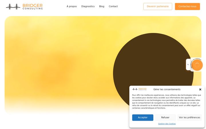 Screenshot του bridger-consulting-b2b.fr