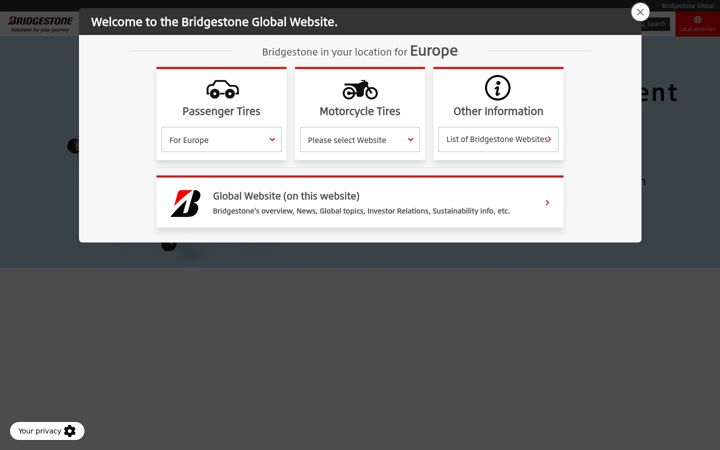 Snímek obrazovky bridgestone.com