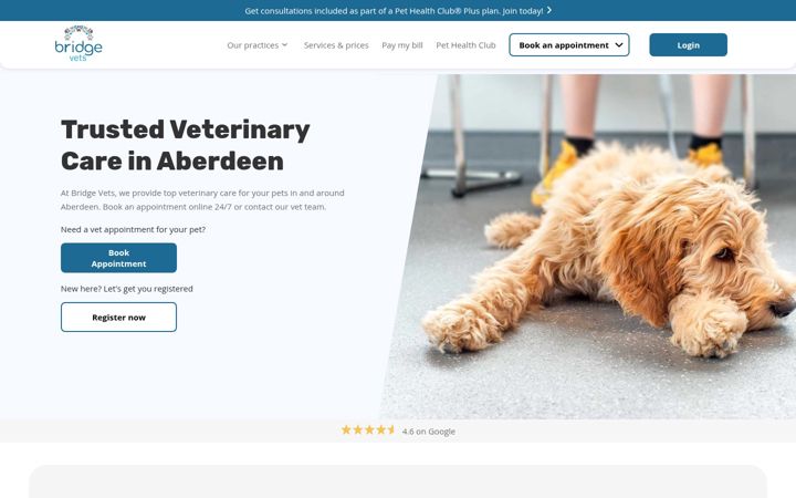 Screenshot of bridgevetsaberdeen.org