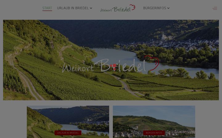 Screenshot of briedel.de