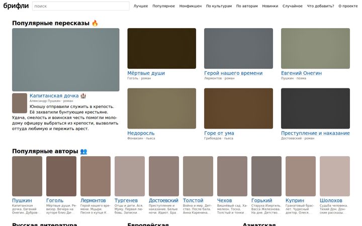 Screenshot of briefly.ru