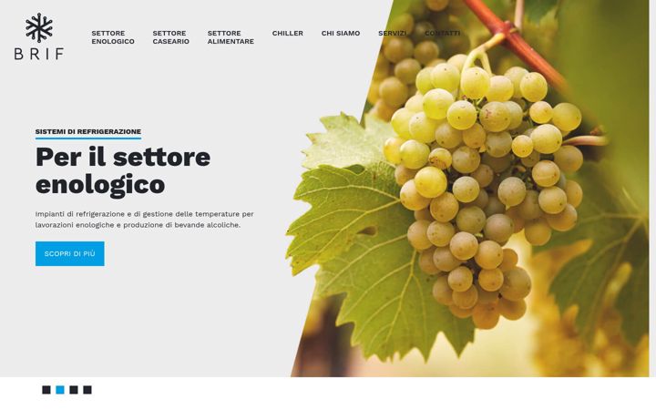 Screenshot of brifitalia.it