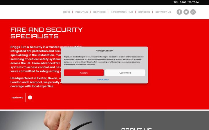 Screenshot of briggsfs.com
