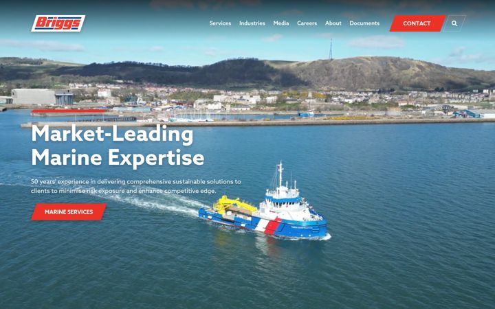 Screenshot of briggsmarine.com