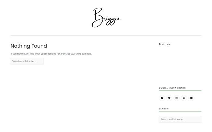 Screenshot of briggu.com