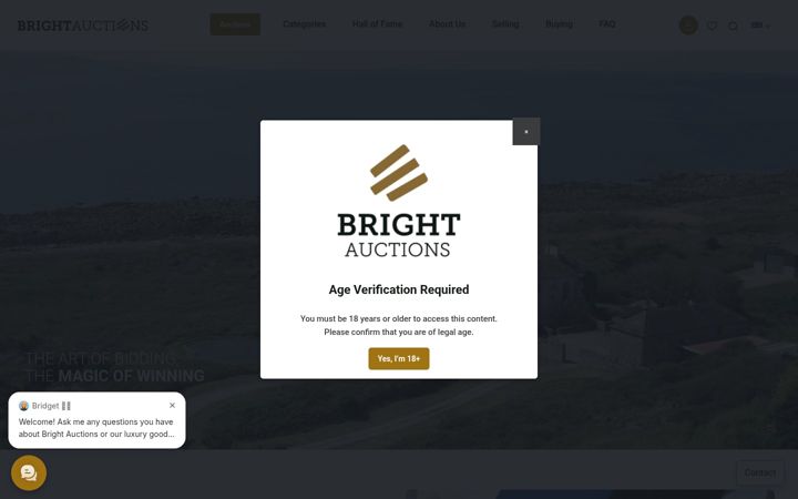 Screenshot of brightauctions.com