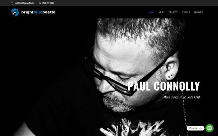 Screenshot of brightbluebeetle.com