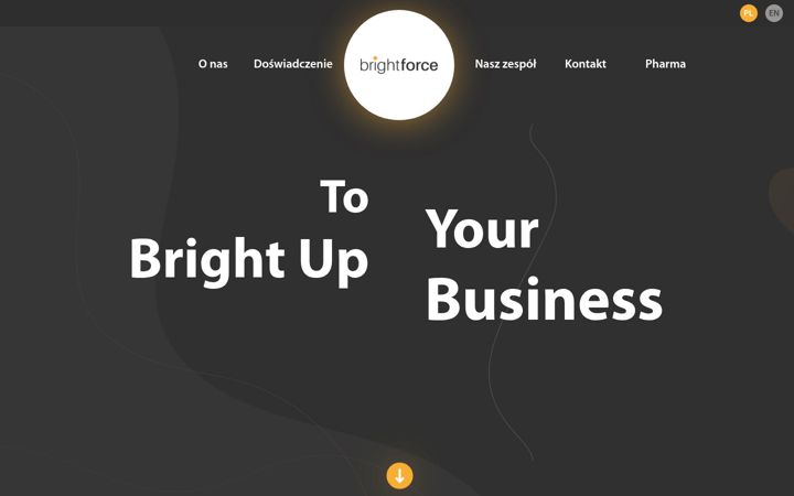 Screenshot of brightforce.pl