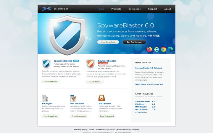 Screenshot of brightfort.com