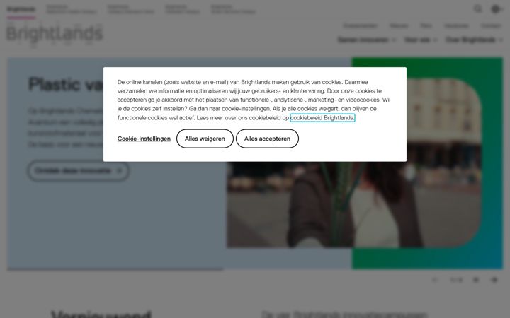 Screenshot of brightlands.com