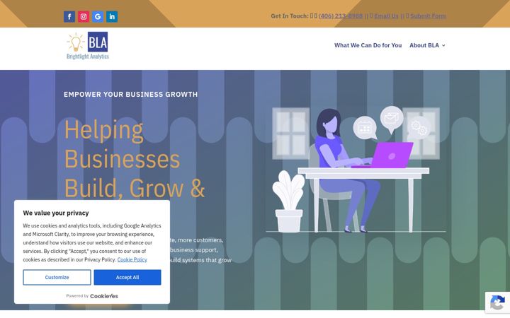 Screenshot of brightlightanalytics.com