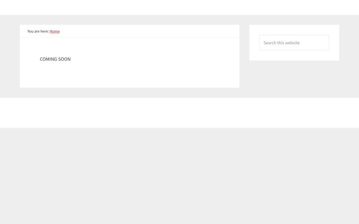 Screenshot of brightmak.com