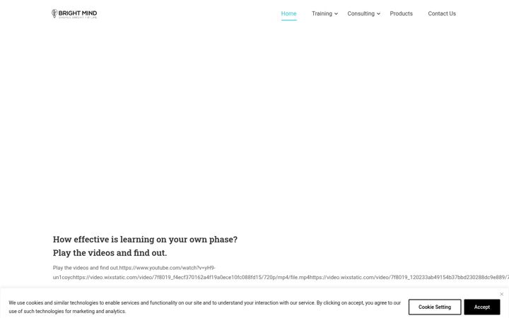 Screenshot of brightmindpro.com