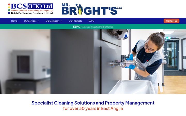 Screenshot of brightscleaning.com