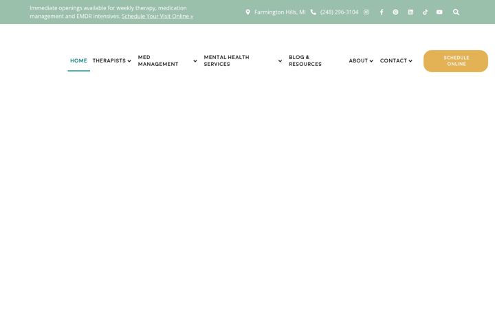 Screenshot of brightspottherapy.com