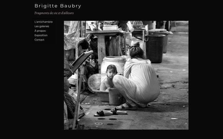 Screenshot of brigittebaubry.com