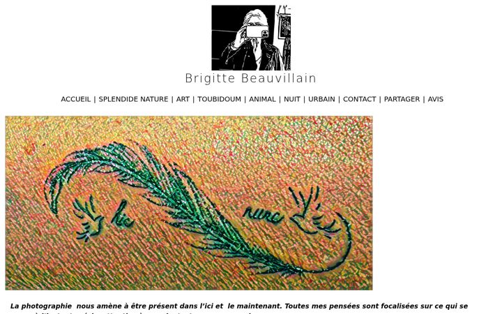 Screenshot of brigittebeauvillain.com