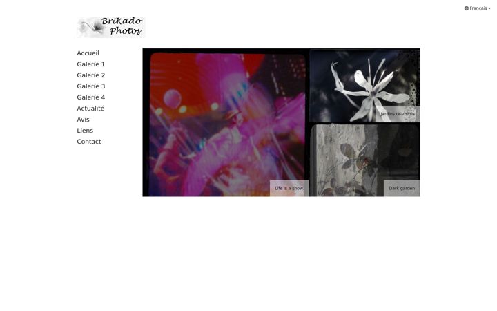 Screenshot of brigittecadaureille.com