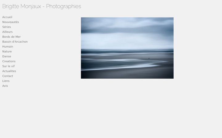 Screenshot of brigittemonjaux.com
